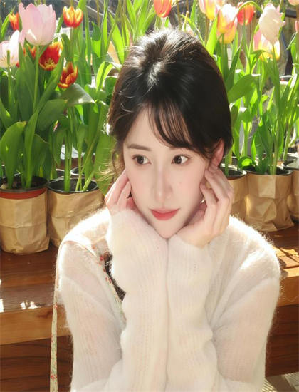 经典的《花果山传》市场表现对比：票房成绩与口碑关系